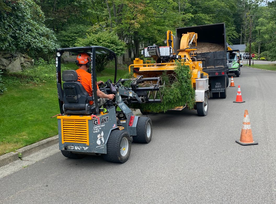 CNY Tree Service Team